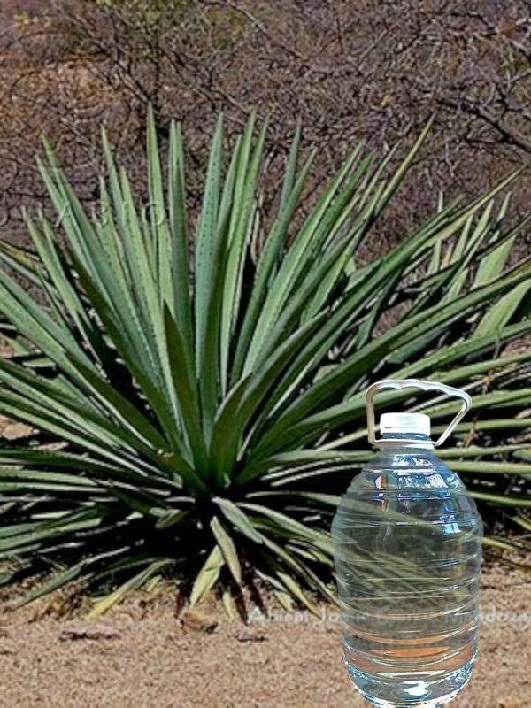 Mexicano (bajo pedido)